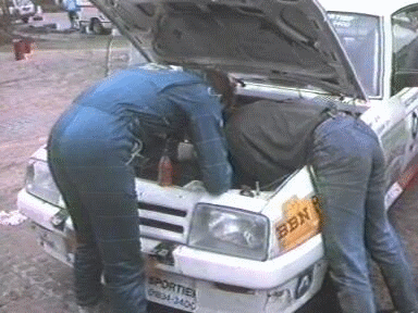 1988 West-Friesland: Rallysport