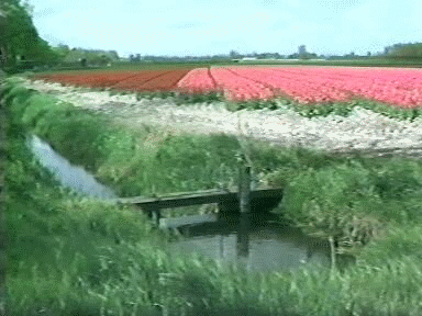 1989 Groeten uit West-Friesland