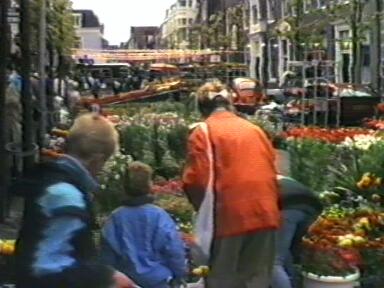 Hoorn: Geraniummarkt