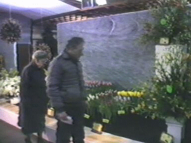 1987 Opmeer: Winter Flora.